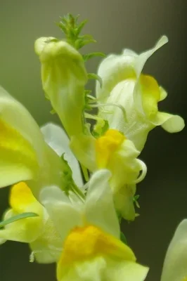 crop-2.webp