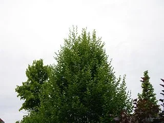 k-IMGP4316.webp