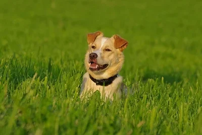 IMGP7759.webp
