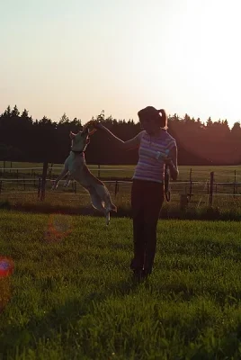 IMGP7837.webp