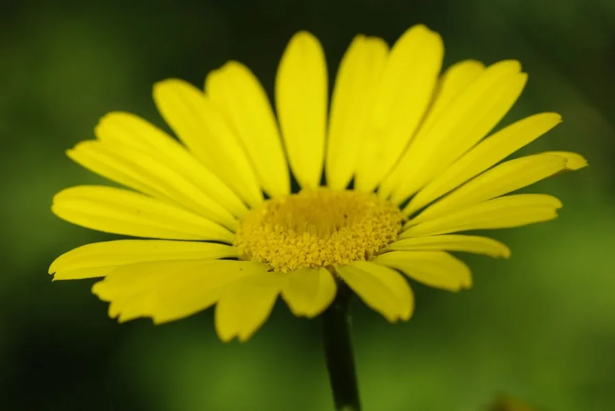 bild5.webp