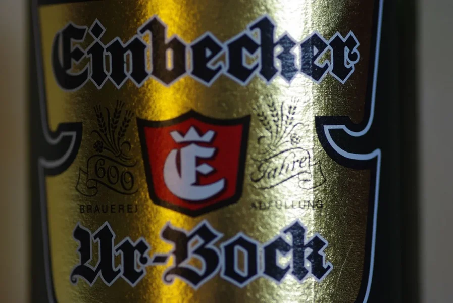 bild6.webp