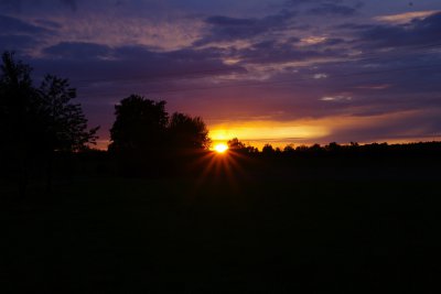 IMGP7095.jpg