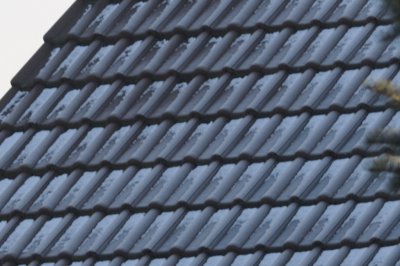 d_125mm_f56.jpg