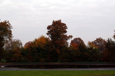 IMGP0035.JPG