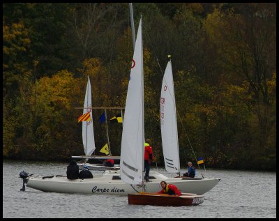 comp_2Der Sieger.jpg comp_2Der Sieger.jpg