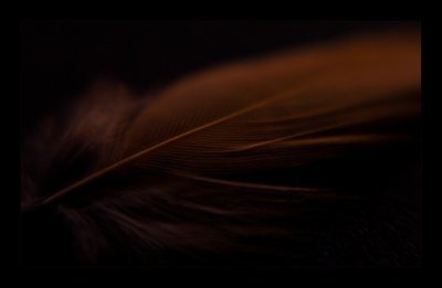 IMGP1774+1_1k.jpg IMGP1774+1_1k.jpg