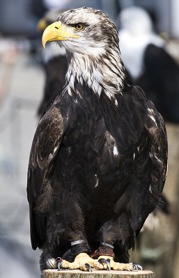pi_K7PI2856.jpg pi_K7PI2856.jpg