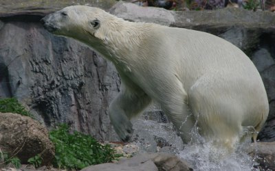 comp_MORG4093.jpg comp_MORG4093.jpg