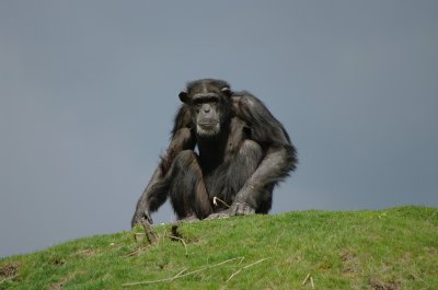 comp_MORG4269.jpg comp_MORG4269.jpg