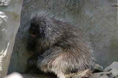 comp_MORG3917.jpg comp_MORG3917.jpg