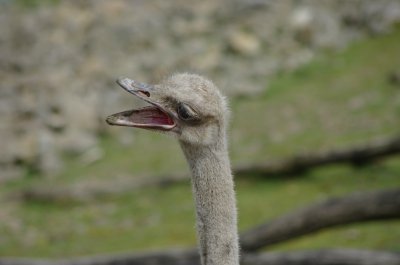 comp_MORG4172.jpg comp_MORG4172.jpg