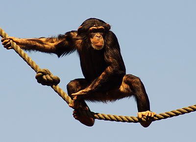 IMGP5033p.jpg IMGP5033p.jpg