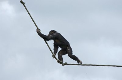 comp_af.jpg comp_af.jpg