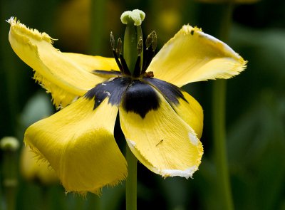 pi_K7PI3228_2.jpg pi_K7PI3228_2.jpg