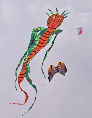 pi_K7PI5246_1.jpg pi_K7PI5246_1.jpg