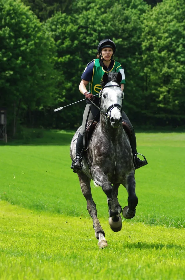 IMGP4116.webp