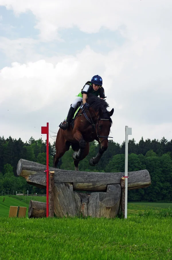 IMGP4119.webp