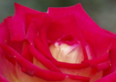 pi_IMGP1063_2.jpg pi_IMGP1063_2.jpg