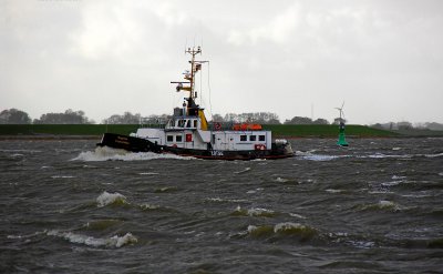 IMGP8081.1.jpg IMGP8081.1.jpg