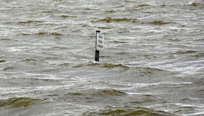 IMGP8090.1.jpg IMGP8090.1.jpg