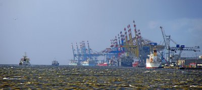 IMGP8155.1.jpg IMGP8155.1.jpg