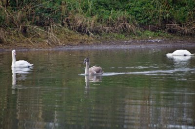 K_5_1664_135_mm_ISO_80_1-250_Sek._bei_ƒ_-_2,8.jpg