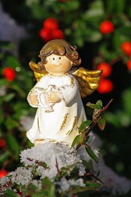 comp_20101215_6207xy.jpg