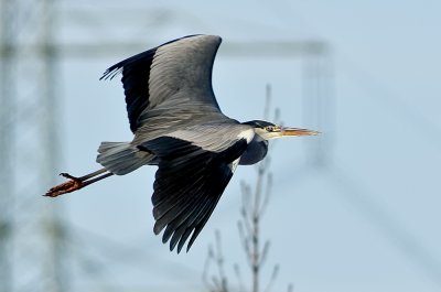 K_5_3040_300_mm_ISO_80_1-1250_Sek._bei_ƒ_-_4,5.jpg