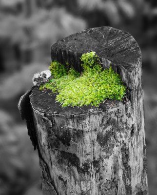 1150CK bearbeitet.jpg