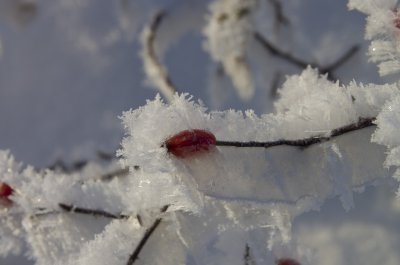 K5__7652_3468_1.jpg