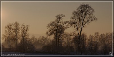2011-01-03__Hoerzendorf_IMGP2838_klein_flickr.jpg