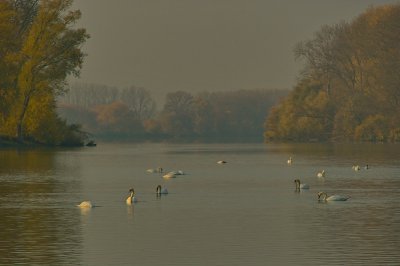 SDIM6590.jpg