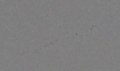 K5__7685_3594.JPG