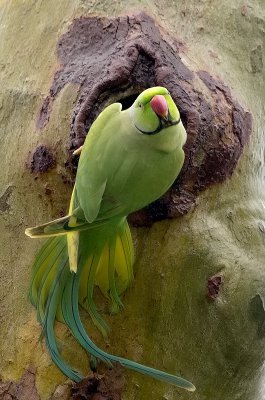 K_5_5079_300_mm_ISO_2500_1-320_Sek._bei_f_-_4,0.jpg K_5_5079_300_mm_ISO_2500_1-320_Sek._bei_f_-_4,0.jpg