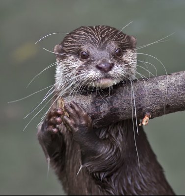 K_5_5168_100_mm_ISO_1600_1-200_Sek._bei_f_-_3,2.jpg K_5_5168_100_mm_ISO_1600_1-200_Sek._bei_f_-_3,2.jpg