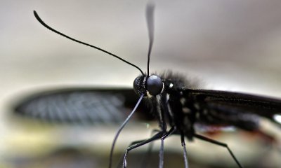 K_5_5228_100_mm_ISO_800_1-4_Sek._bei_f_-_5,0.jpg K_5_5228_100_mm_ISO_800_1-4_Sek._bei_f_-_5,0.jpg