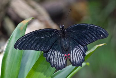 K_5_5233_100_mm_ISO_80_1,3_Sek._bei_f_-_5,6.jpg K_5_5233_100_mm_ISO_80_1,3_Sek._bei_f_-_5,6.jpg