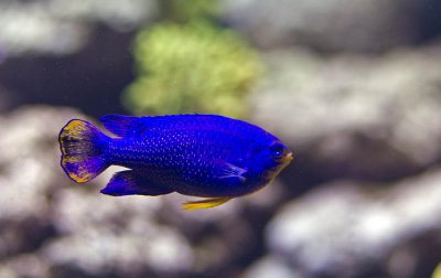 K_5_5278_55_mm_ISO_320_1-250_Sek._bei_f_-_2,0.jpg K_5_5278_55_mm_ISO_320_1-250_Sek._bei_f_-_2,0.jpg