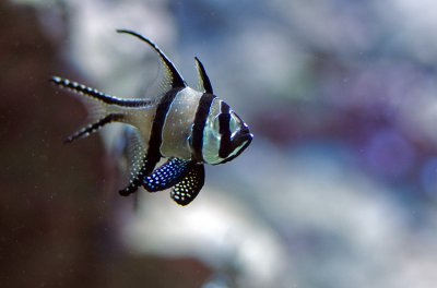 K_5_5292_55_mm_ISO_1600_1-250_Sek._bei_f_-_2,0.jpg K_5_5292_55_mm_ISO_1600_1-250_Sek._bei_f_-_2,0.jpg