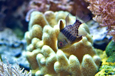 K_5_5285_55_mm_ISO_320_1-250_Sek._bei_f_-_2,0.jpg K_5_5285_55_mm_ISO_320_1-250_Sek._bei_f_-_2,0.jpg