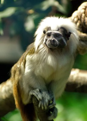 K_5_5333_135_mm_ISO_5000_1-400_Sek._bei_f_-_3,5.jpg K_5_5333_135_mm_ISO_5000_1-400_Sek._bei_f_-_3,5.jpg