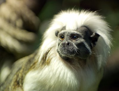 K_5_5367_123_mm_ISO_1000_1-320_Sek._bei_f_-_2,8.jpg K_5_5367_123_mm_ISO_1000_1-320_Sek._bei_f_-_2,8.jpg