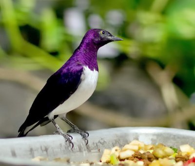 K_5_5325_55_mm_ISO_2500_1-100_Sek._bei_f_-_2,0.jpg K_5_5325_55_mm_ISO_2500_1-100_Sek._bei_f_-_2,0.jpg