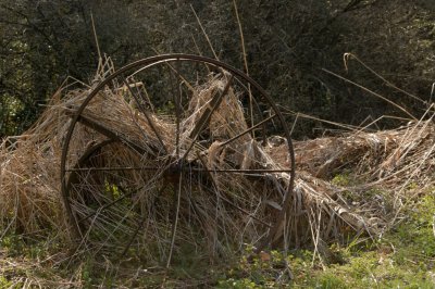 DSC_3307.jpg