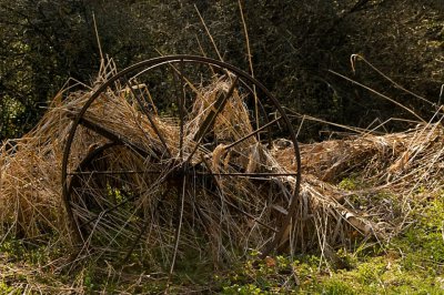 DSC_3307-1.jpg