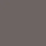 110-100-100.webp