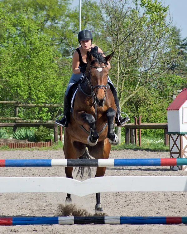 K_5_8908_135 mm_ISO 160_1-800 Sek. bei f - 5,0.webp