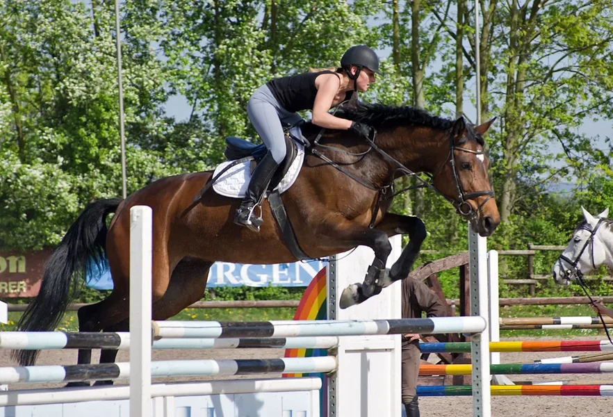 K_5_8910_135 mm_ISO 160_1-800 Sek. bei f - 5,0.webp