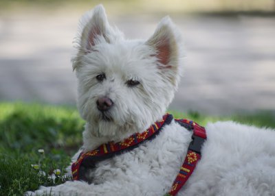 K_5_8790_135 mm_ISO 160_1-800 Sek. bei f - 3,2.jpg